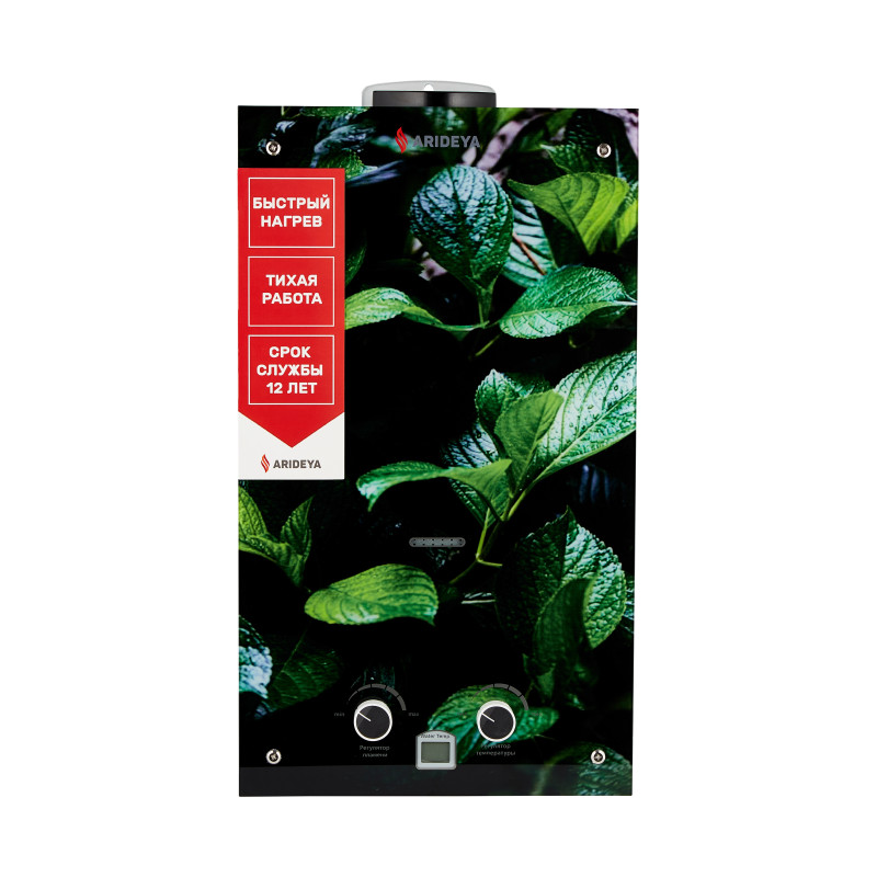 Водонагреватель газовый Arideya JSD 20 G1 (L) (Листья)-3